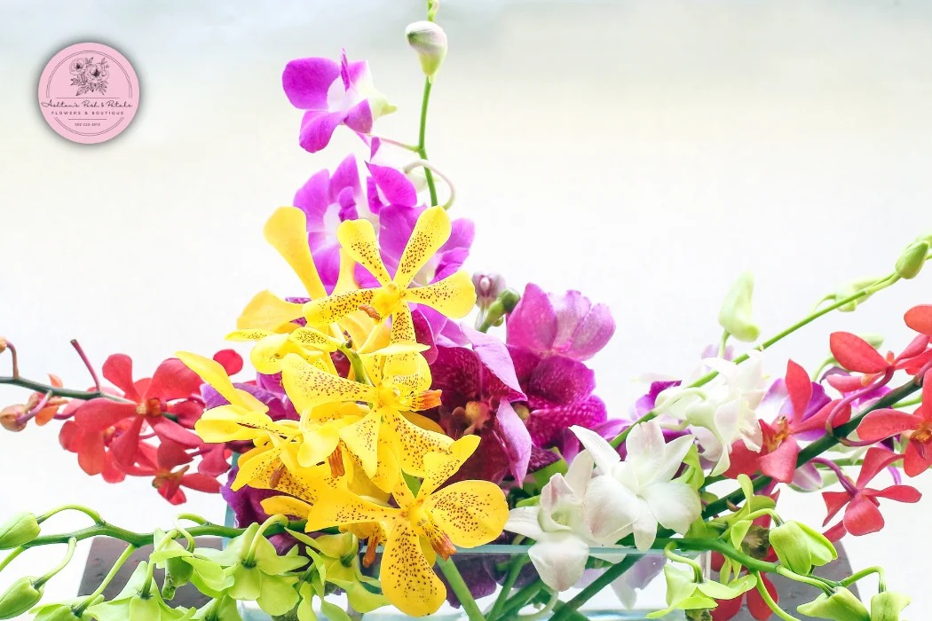 Mixed Orchid Arrangement