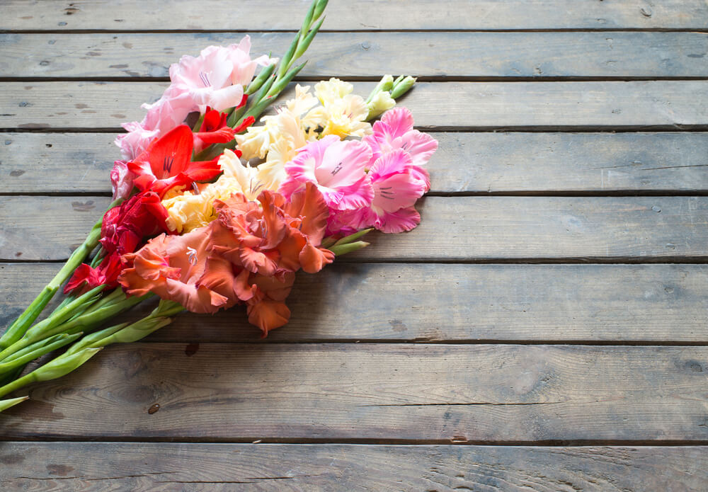 Stunning tiered peach and pink gladiolus flower stems wrapped in rustic brown paper