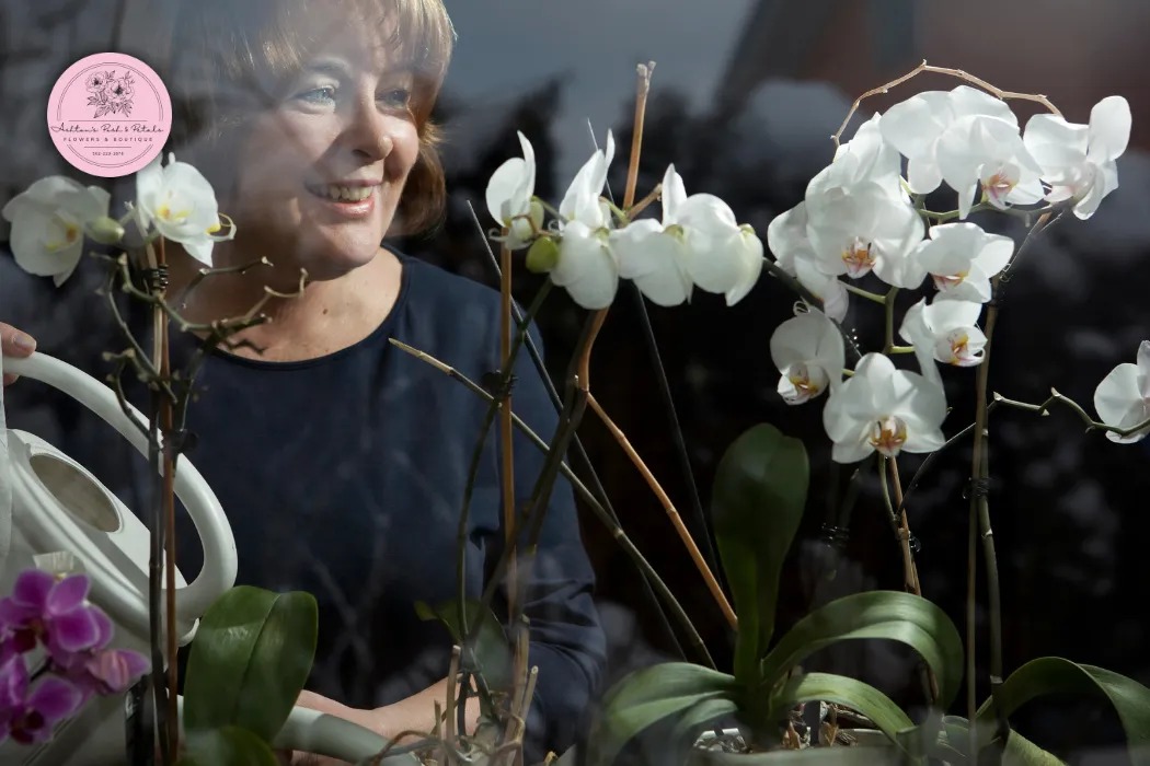 Orchid Caring Tips for Evergreen Growth