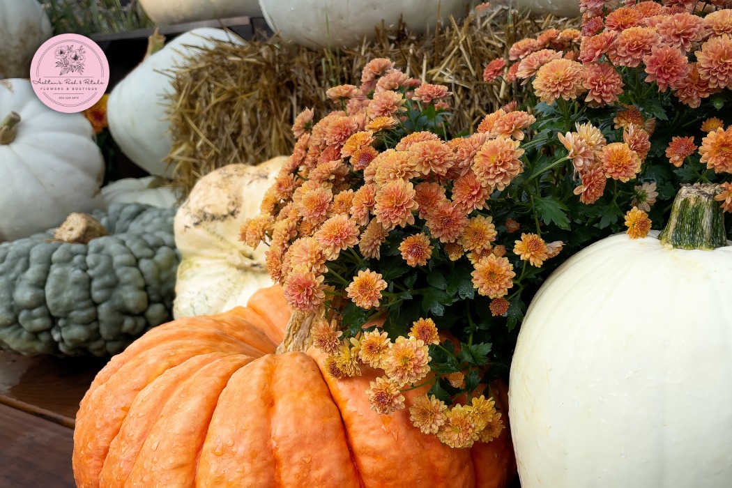 Dahlias and Golden Mums