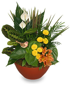 DISH GARDEN WITH A NATURAL TOUCH