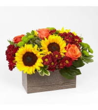 Lotsa Love® Get Well - Wilmington, DE Florist