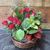 Florist 60636 | 60636 Flower Delivery by Niko's Flower Designs