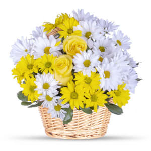 Daisies Basket!  Flower Bouquet
