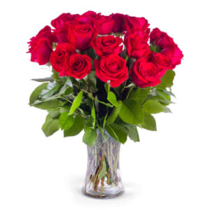 2 Dozen Red Roses Flower Bouquet