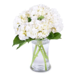 Hydrangea Arrangement Flower Bouquet