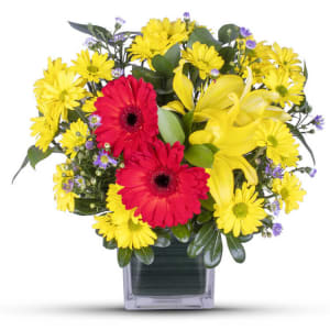 Red Gerbera Cube Flower Bouquet