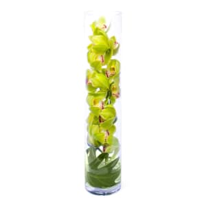 Zen Sensational Orchids Moon127 Flower Bouquet