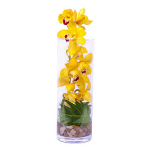 Yellow Zen Sensational Orchids Flower Bouquet