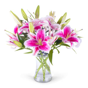 STARGAZER LILY Flower Bouquet