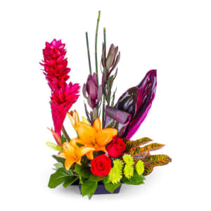 Tropical Fantasy Moon146 Flower Bouquet