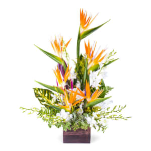 Birds of Paradise Flower Bouquet