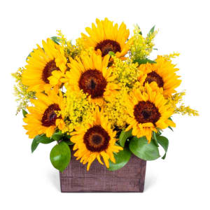 BOX OF SUNSHINE Flower Bouquet