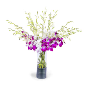 Purple & White Orchid Elegance Moon218 Flower Bouquet