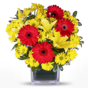 Red Gerbera Cube Flower Bouquet