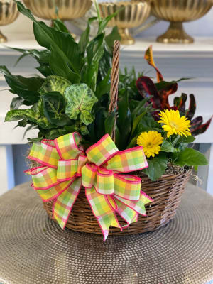 Bloom Garden Plant Basket Flower Bouquet