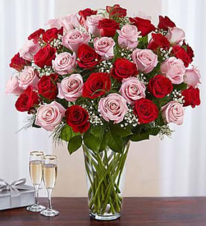 Ultimate Elegance Long Stem Pink and Red Roses