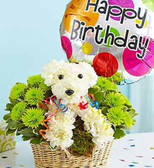 Party Animal - Birthday Dog Flower Basket Flower Bouquet