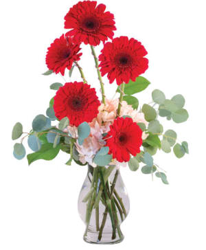 CRIMSON GERBERAS
FLORAL DESIGN Flower Bouquet