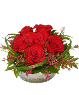 Rosy Red Posy - Six Red Roses Flower Bouquet