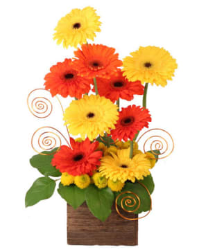 SUNUP GERBERAS
FLOWER ARRANGEMENT Flower Bouquet