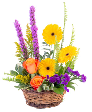 BASKET OF BLOOMS
BASKET ARRANGEMENT Flower Bouquet