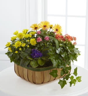 Gentle Blossoms™ Basket
 Flower Bouquet