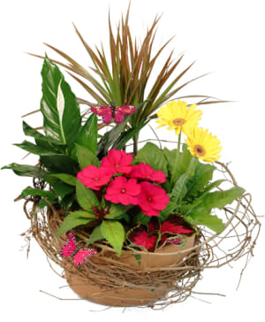 NATURALLY BEAUTIFULFLOWERING PLANTS Flower Bouquet