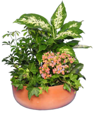 GARDEN PLANTER
GREEN & BLOOMING PLANTS Flower Bouquet