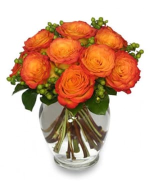 Flames of Passion - Orange Rose Arrangement Flower Bouquet