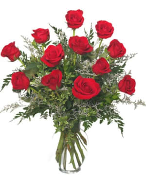 12 Long Stemmed Red Roses Flower Bouquet
