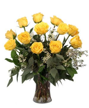 DOZEN YELLOW ROSES
Flower Arrangement
 Flower Bouquet