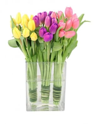 TULIP TRIO
ARRANGEMENT Flower Bouquet