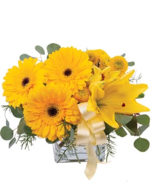 PETITE YELLOW
FLOWER ARRANGEMENT Flower Bouquet