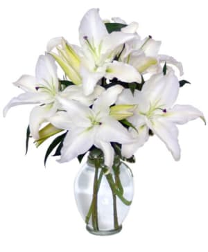 CASA BLANCA LILIES
ARRANGEMENT Flower Bouquet