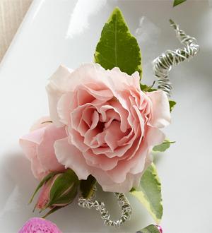  Pink Spray Rose Boutonniere Flower Bouquet