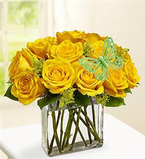 Modern Roses One Dozen Yellow Flower Bouquet