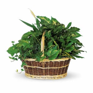 Large Basket Garden Flower Bouquet