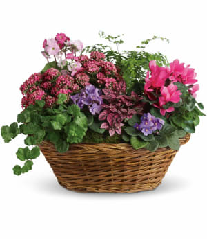 Simply Chic Mixed Plant Basket Flower Bouquet