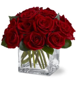 Dozen Rose Contempo Flower Bouquet