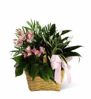 Living Spirit Dishgarden in Assorted Basket Flower Bouquet