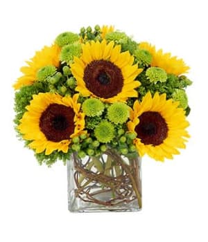 Sunflower Surprise Flower Bouquet