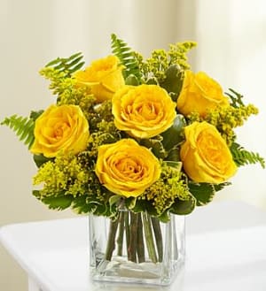 Love's Embrace Roses  Yellow 6 stem Flower Bouquet