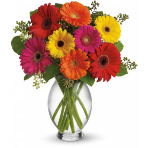 Gerbera Brights Flower Bouquet