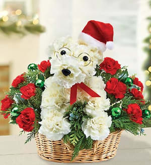 Santa Paws™ Flower Bouquet