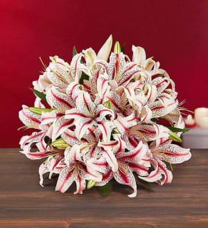 Candy Cane Lilies Flower Bouquet