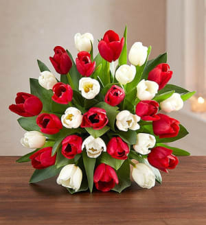 Holiday Tulips Flower Bouquet