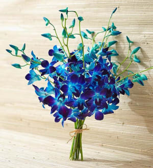 Ocean Breeze Orchids
 Flower Bouquet