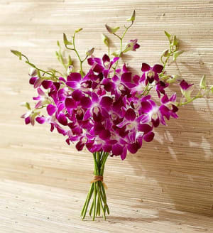 Exotic Breeze Orchids
 Flower Bouquet