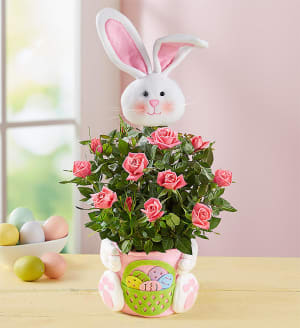 Easter Bunny Blooms
 Flower Bouquet